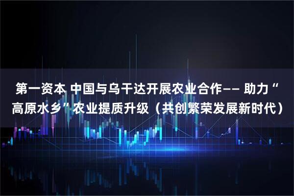 第一资本 中国与乌干达开展农业合作—— 助力“高原水乡”农业提质升级（共创繁荣发展新时代）