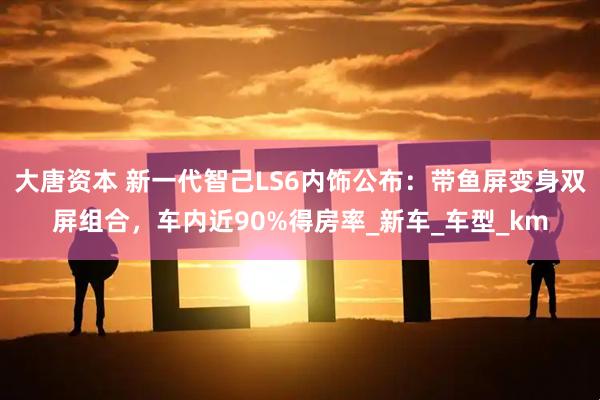 大唐资本 新一代智己LS6内饰公布：带鱼屏变身双屏组合，车内近90%得房率_新车_车型_km