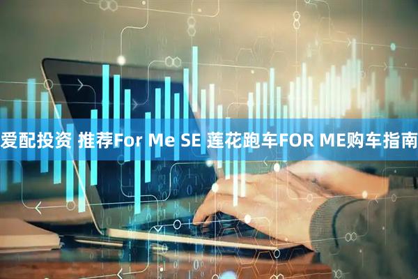 爱配投资 推荐For Me SE 莲花跑车FOR ME购车指南