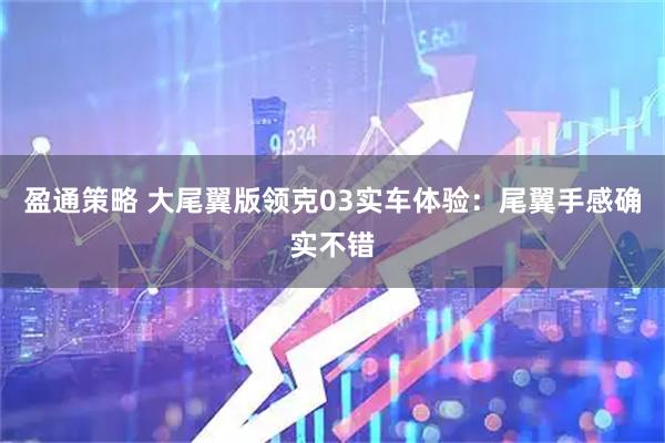 盈通策略 大尾翼版领克03实车体验：尾翼手感确实不错