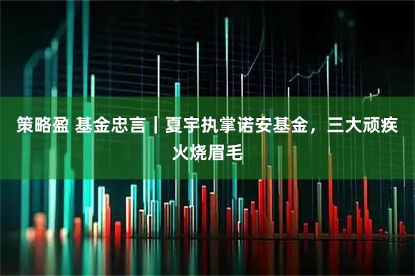策略盈 基金忠言|夏宇执掌诺安基金,三大顽疾火烧眉毛